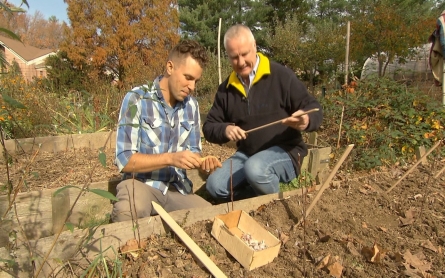 Syrian seeds that have fed generations face extinction